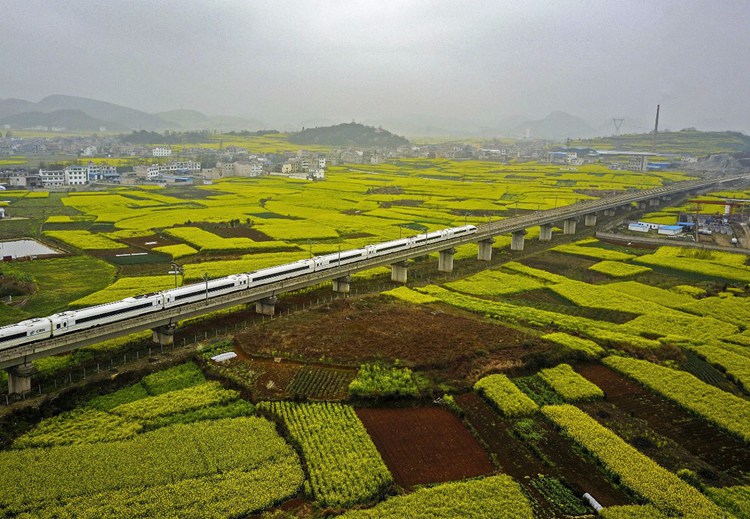 中國高鐵嚴(yán)打質(zhì)量問題，確保安全出行