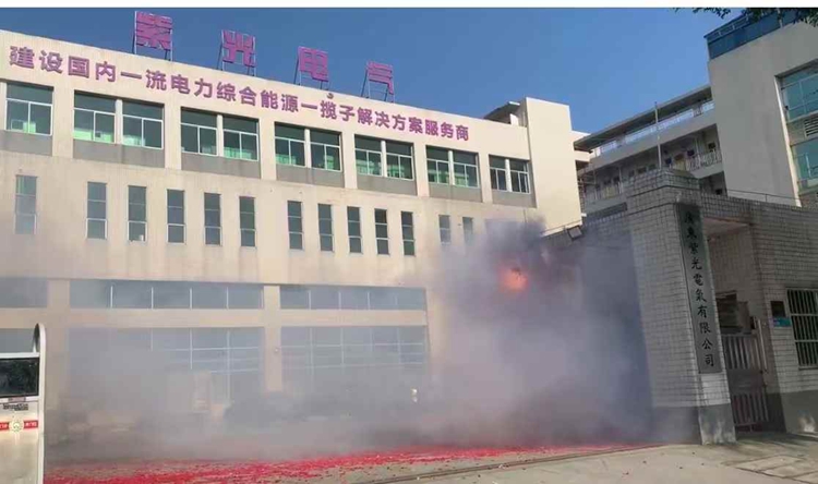 廣東紫光電氣有限公司2025年開(kāi)工大吉1